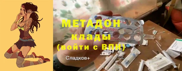прущие грибы Покачи