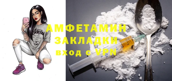 прущие грибы Покачи